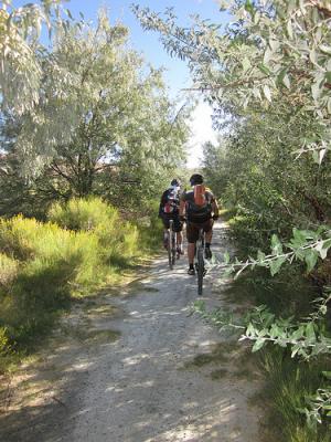 Cycling near Centennial Park.
