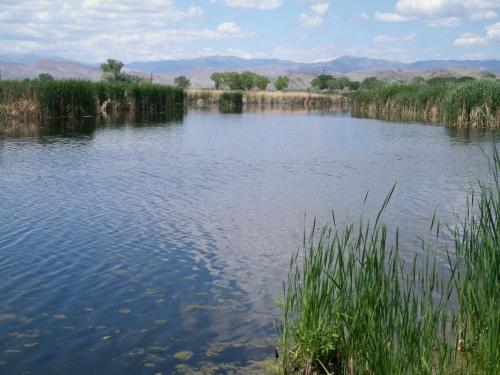 Some of the back waters at Hinkson Slough on the MVWMA.  This slough is popular with fly fishermen in float tubes.