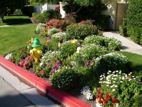 A fire hydrant surrounded by flowers on one of the streets.  Photo by Elaine Quilici