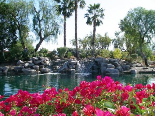 A waterfall at a lagoon in that gated community.  Photo by Elaine Quilici