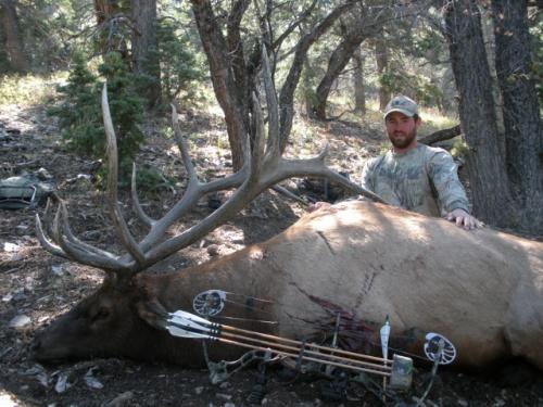 File photo of Rocky Mountain Elk and hunter.
