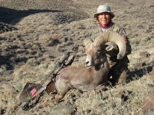 File photo of Desert Bighorn Sheep and hunter.