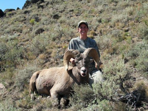 File photo of Rocky Mountain Bighorn Sheep and hunter.