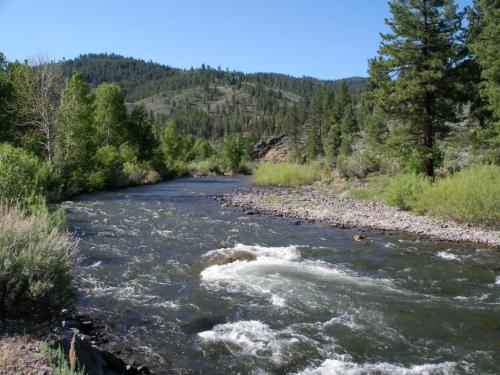 The East Carson River near the Carson River Resort.  Photo by Elaine Quilici