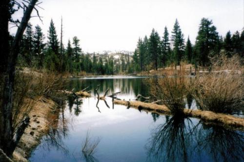 Roosevelt Lake in the Hoover Wilderness Area.  Photo by Don Quilici