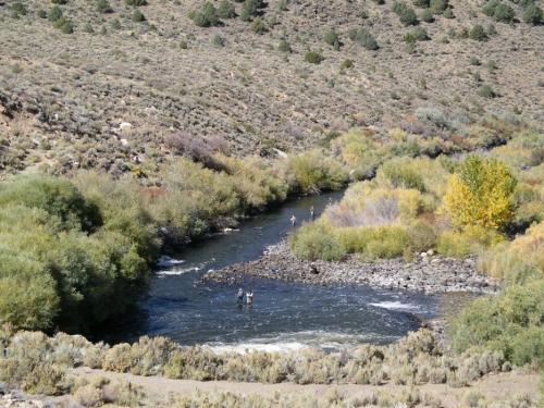Fly fishermen congregated in the East Walker River where it comes out of Bridgeport Reservoir.  Photo by Elaine Quilici