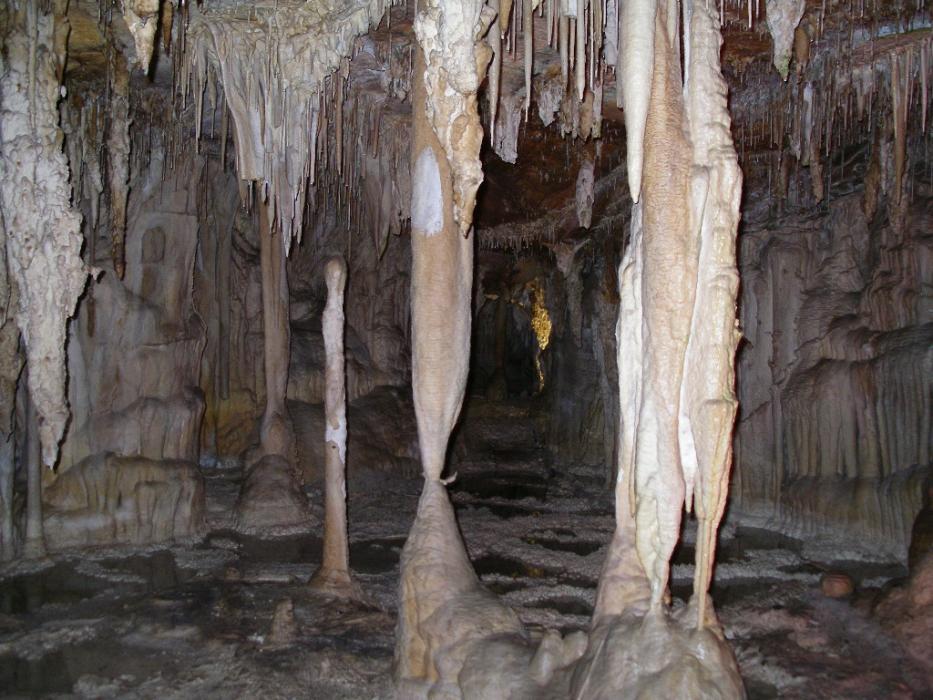 One of many spectacular underground areas at Lehman Caves, Great Basin National Park. Photo by Elaine Quilici