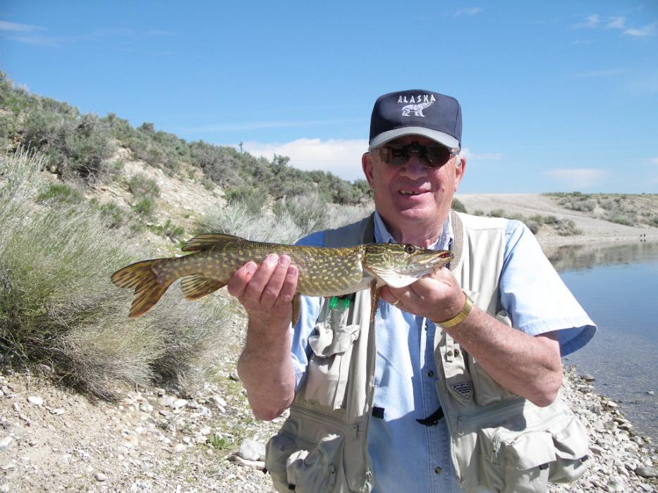 Don Quilici of Carson City with his 20.5 inch Northern Pike caught on May 22 at Comins Lake, Nevada. Photo by Elaine Quilici