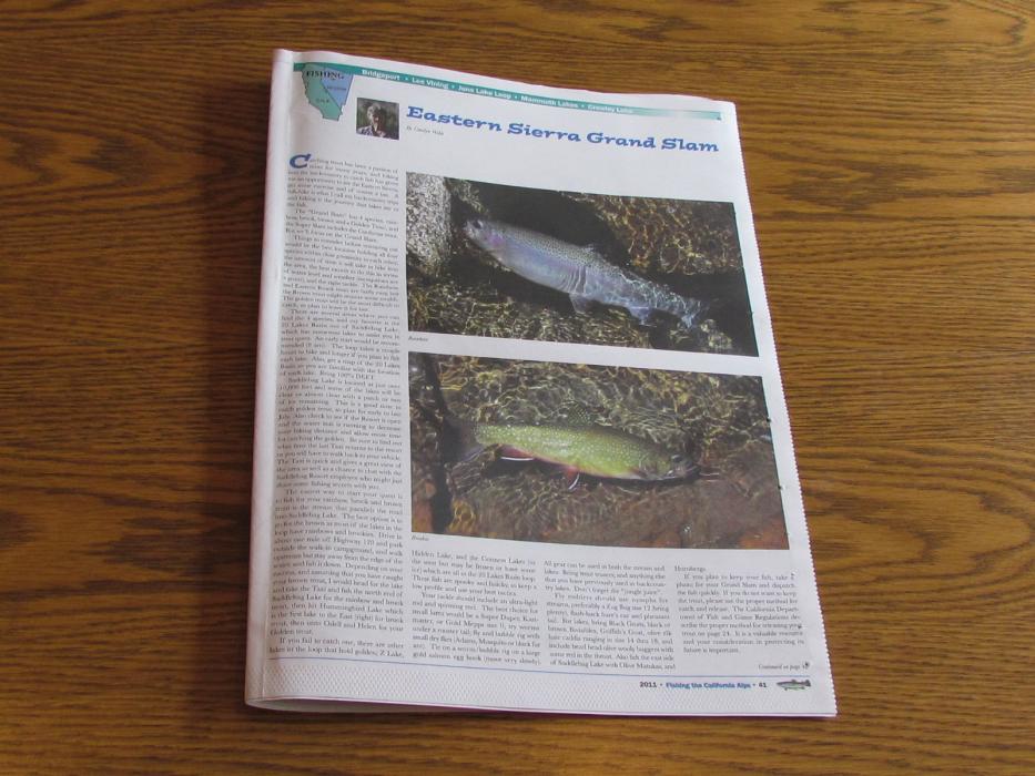 One of the feature stories in that annual newspaper.  Photo by Elaine Quilici