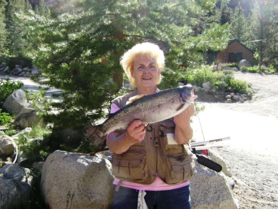 Chris Collins from Simi Valley, Calif. with a 3-pound, 10-ounce rainbow trout caught at Parcher’s Hole, Bishop Creek