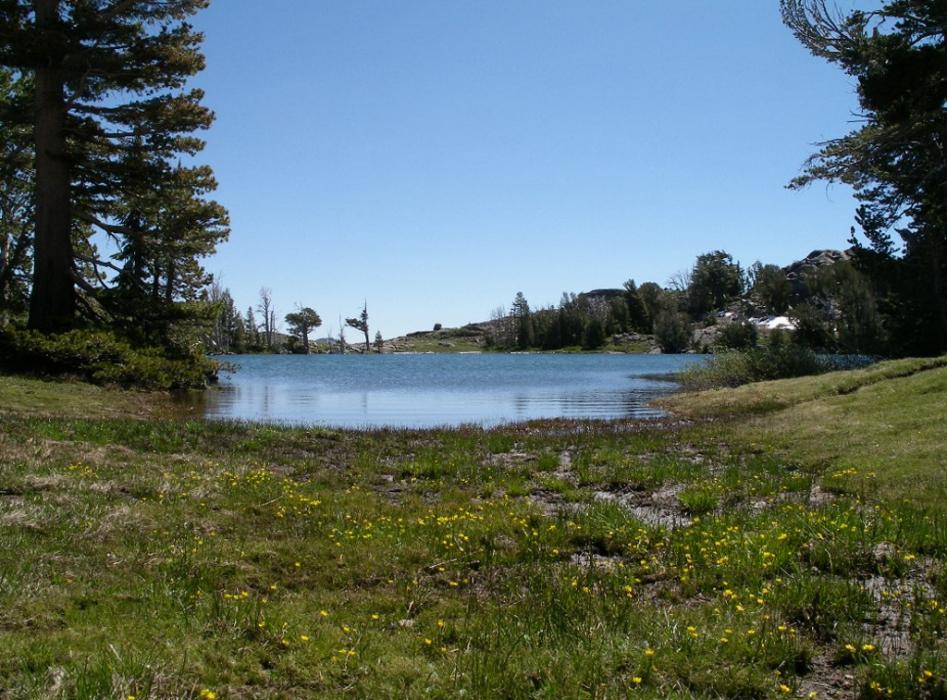 Looking across the length of Frog Lake. Photo by Elaine Quilici