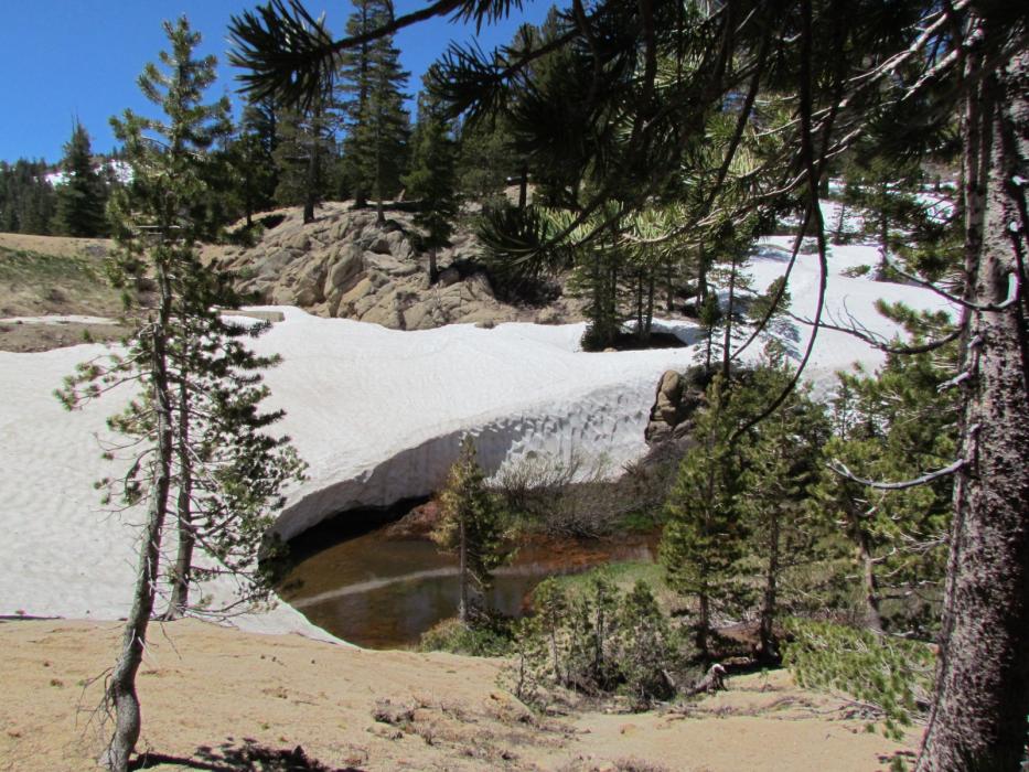 Stream coming out of Kinney Reservoir