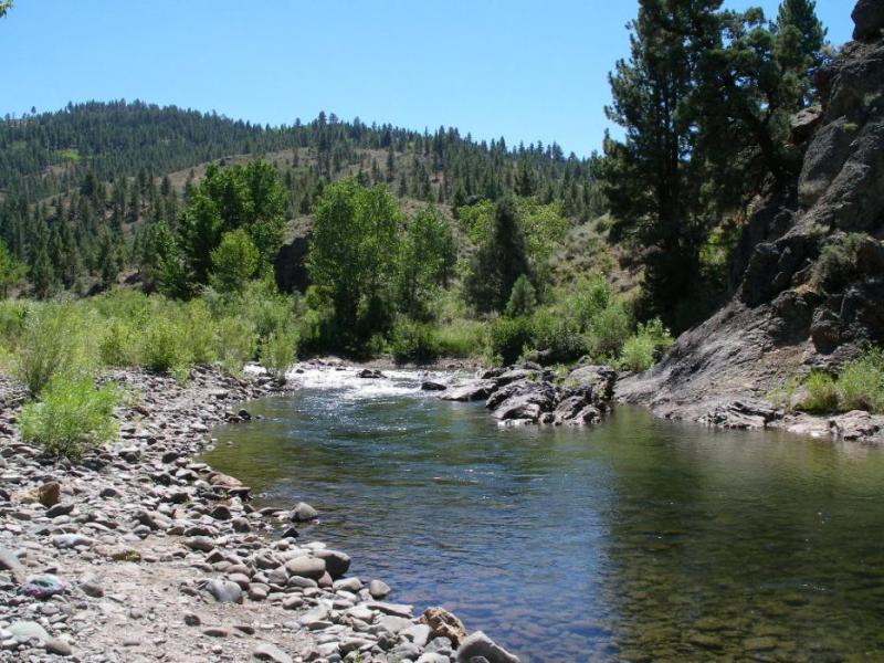 The East Carson River near the junction of California S.R. 4 and S.R. 89. Photo by Elaine Quilici