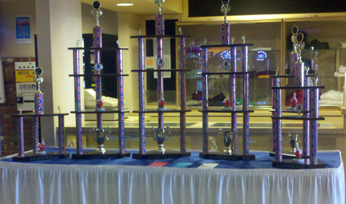 Trophies for the First Annual Carson City Wing-Off, which will be awarded Sunday at 3 p.m.