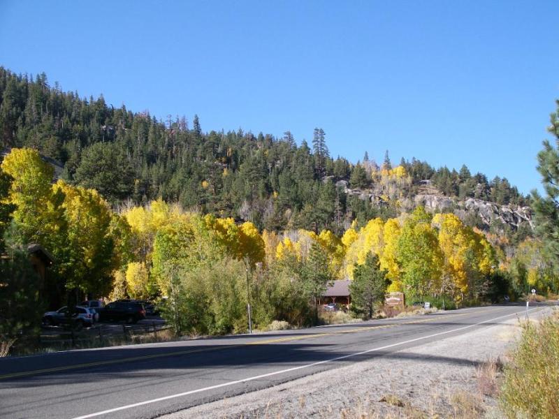 Sorensen’s Resort surrounded by fall colors in this file photo by Elaine Quilici