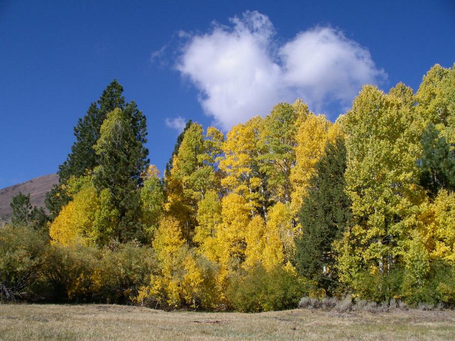 More fall colors near Hope Valley.  File photo by Elaine Quilici