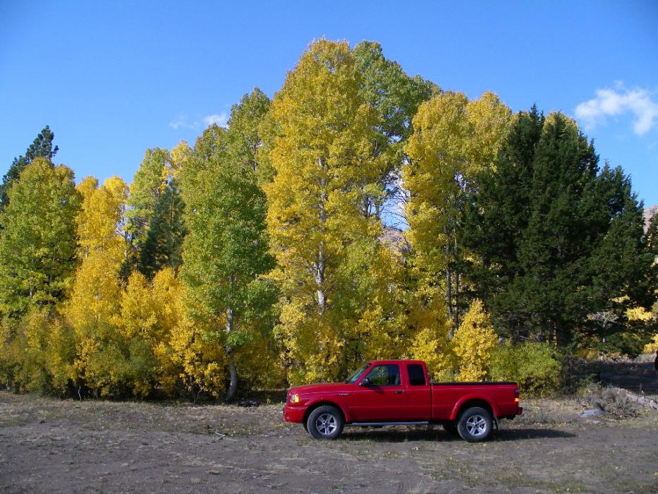 The pickup that belongs to Don and Elaine Quilici of Carson City. File photo.