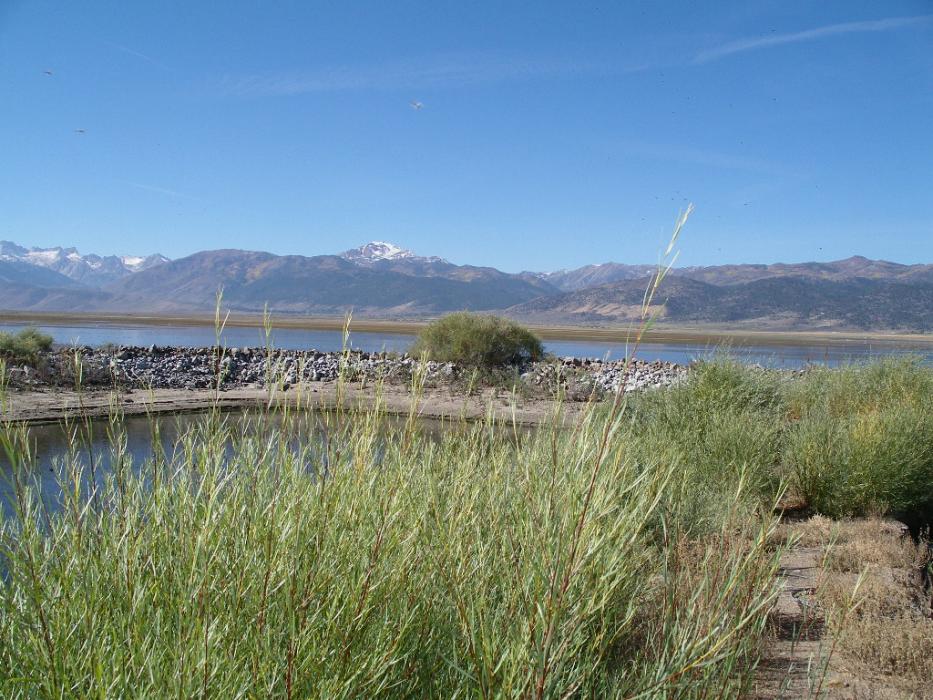Bridgeport Reservoir