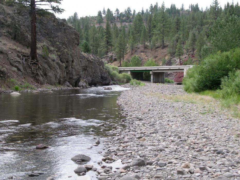 Carson River