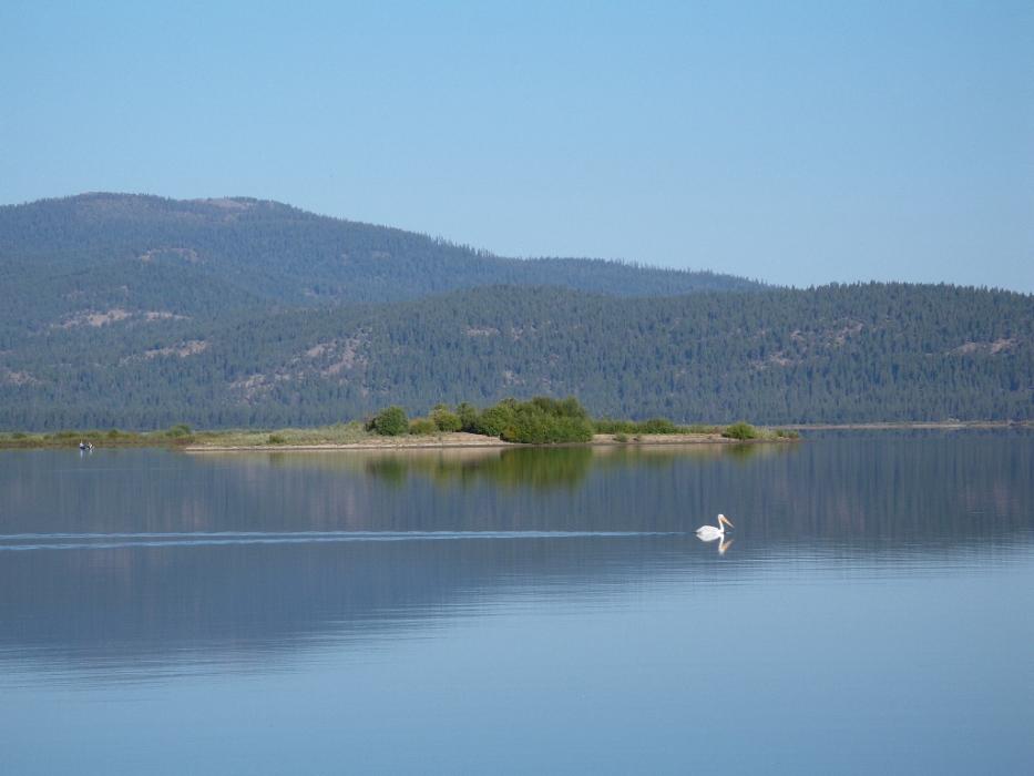 Davis Lake