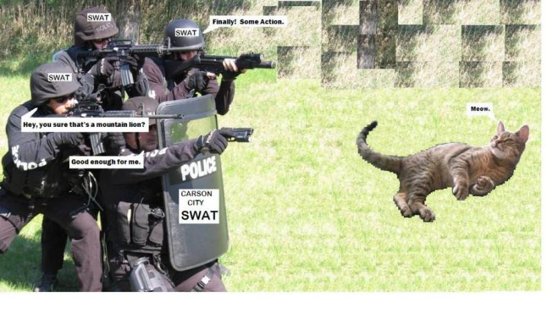 Keeping Carson Safe