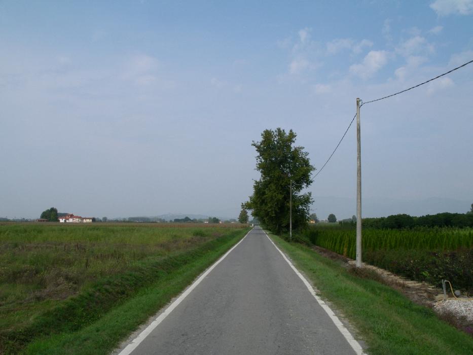 A serenely, quiet, two-way, country lane in the countryside at Ponte Buggianese, which is near Montecatini. Photo by Don Quilici