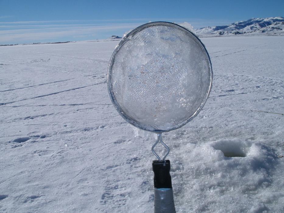Even on a sunny day, the water has frozen on a scoop used to remove slushy water from a fishing hole.  Photo by Don Quilici