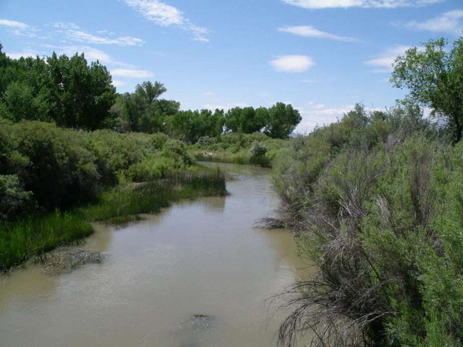 The West Walker River in the MVWMA.  Photo by Elaine Quilici