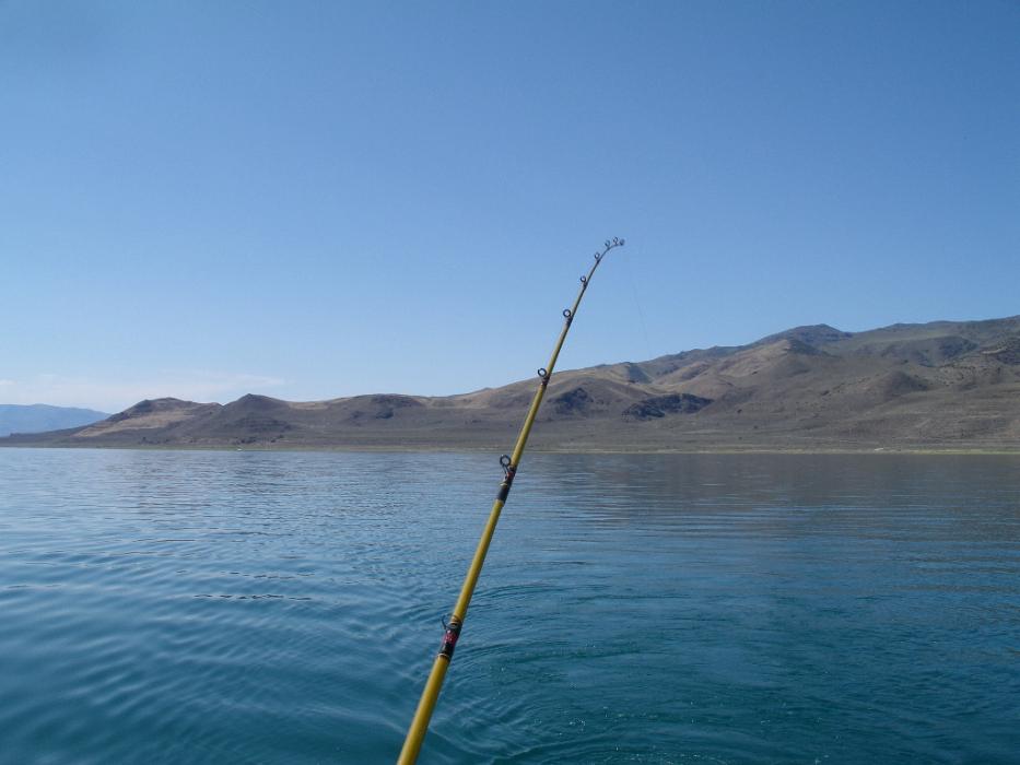 Trolling with a lure along the west shoreline, between Pelican Point and Warrior Point. Photo by Don Quilici