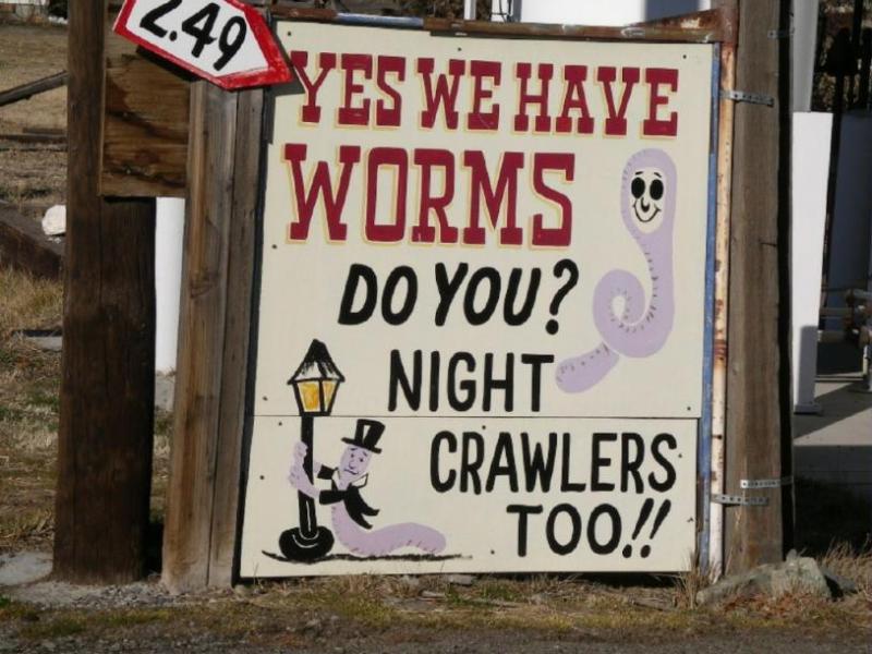 One of many interesting signs at Wiggins Trading Post.  Photo by Elaine Quilici