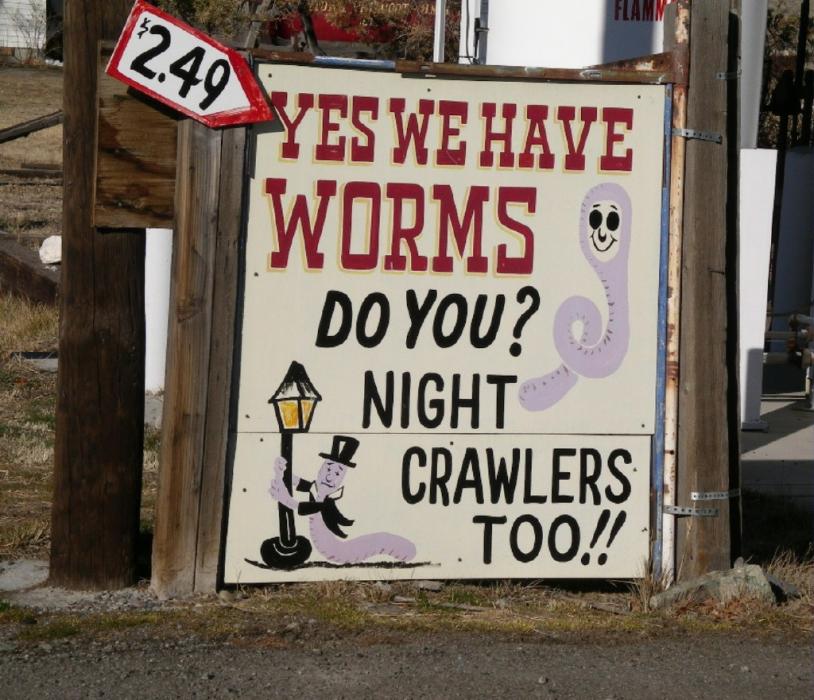 One of many interesting signs at Wiggins Trading Post.  Photo by Elaine Quilici