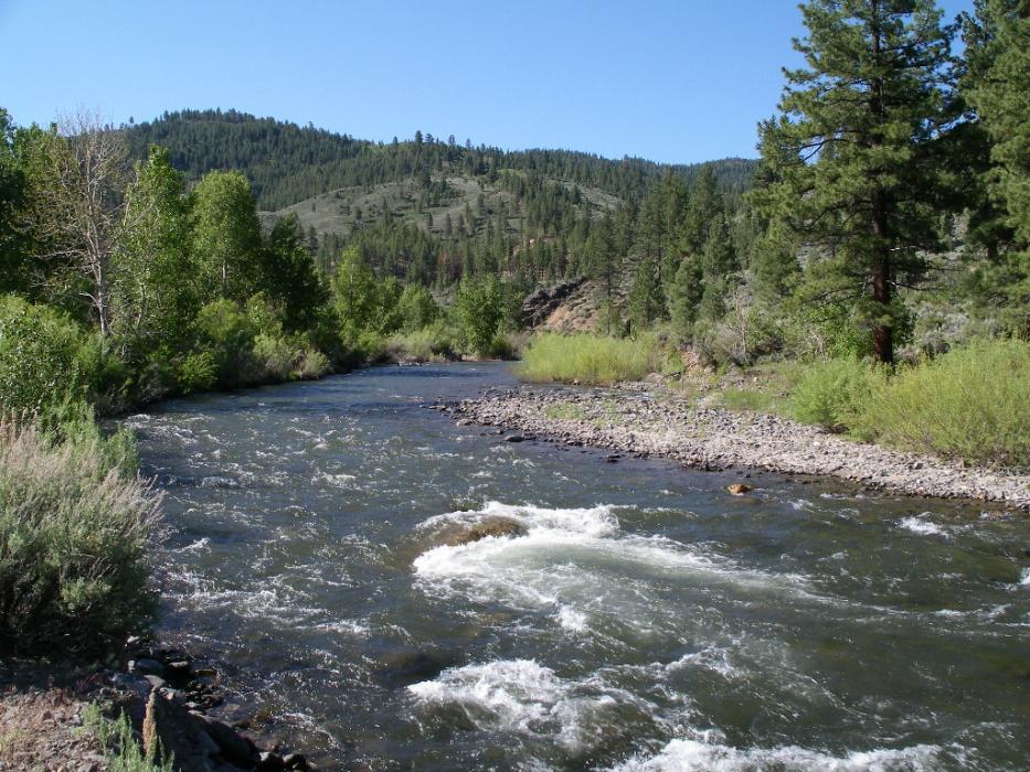 The East Carson River near Markleeville. Photo by Elaine Quilici