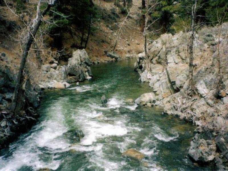 The West Walker River as seen from the Leavitt Meadows Campground on Sonora Pass.  Photo by Don Quilici