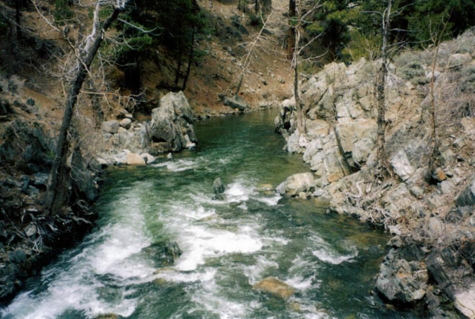 The West Walker River as seen from the Leavitt Meadows Campground on Sonora Pass.  Photo by Don Quilici