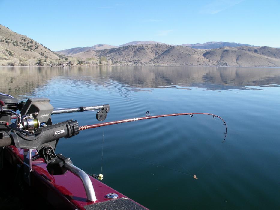 Looking at the north end of Topaz Lake, over a fishing pole attached to an electric downrigger.  Photo by Don Quilici