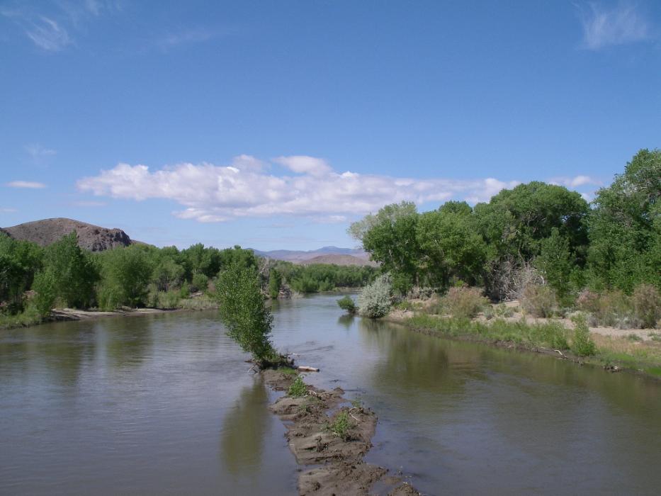 The main Carson River near Weeks, Nev.  Photo by Elaine Quilici