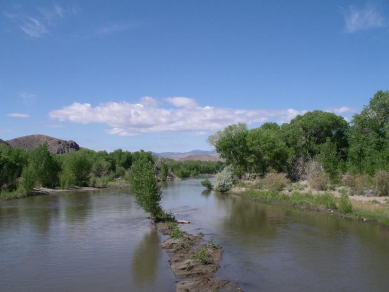 Carson River