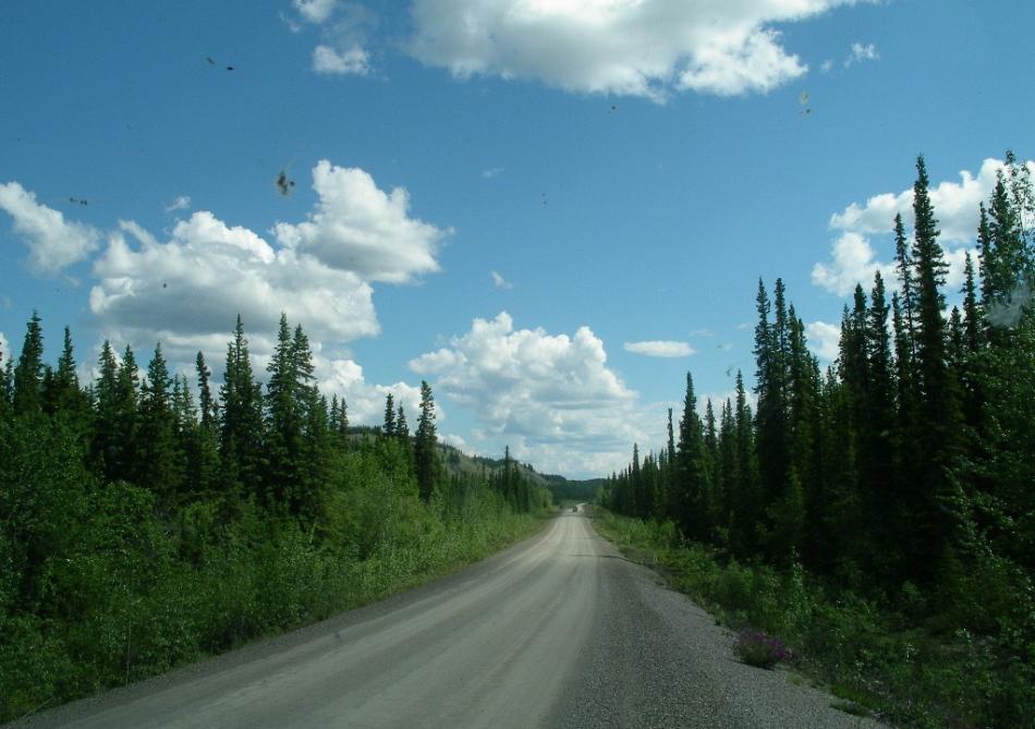 Convoying, way behind our companions, on one of the better sections of the Ross Campbell Highway. Photo by Elaine Quilici