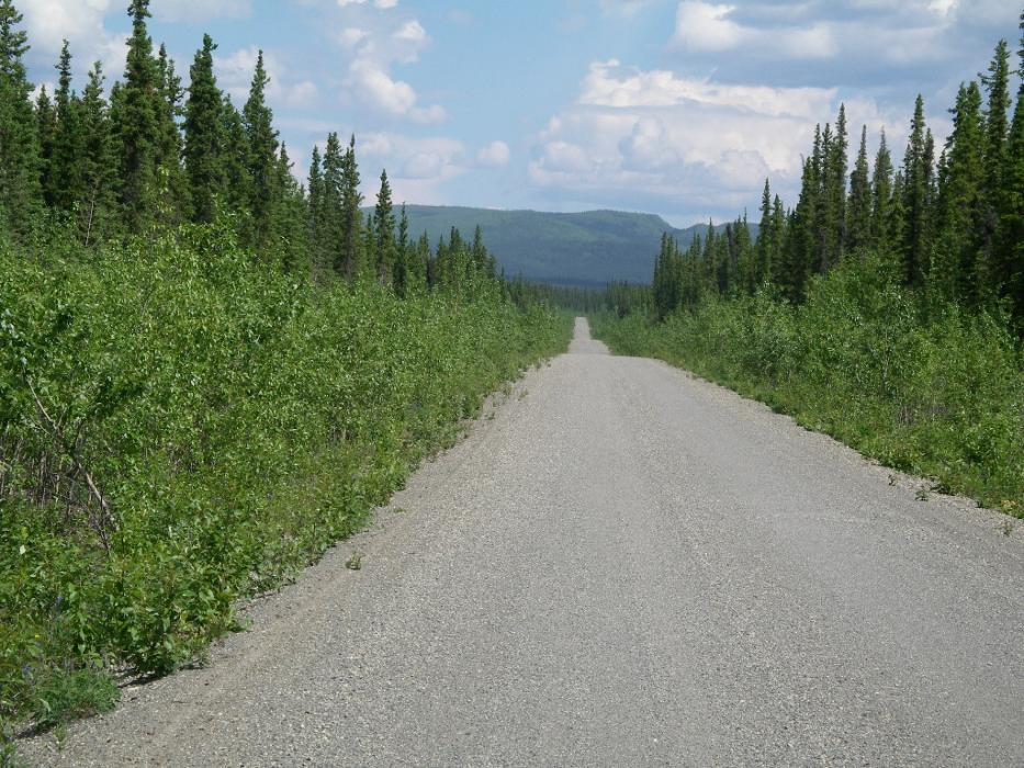 Not much traffic in either direction, out in the “bush.”  Photo by Elaine Quilici