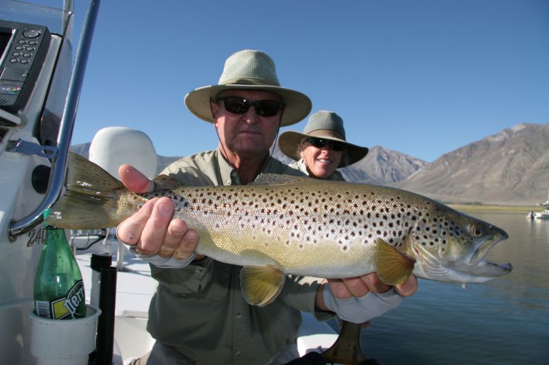 A brown trout caught at Crowley Lake, California.  Photo courtesy of Tom Loe of Sierra Drifters Guide Service