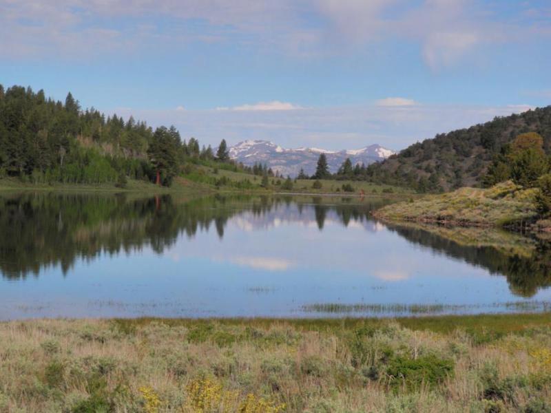 Photo by California Department of Fish and Game