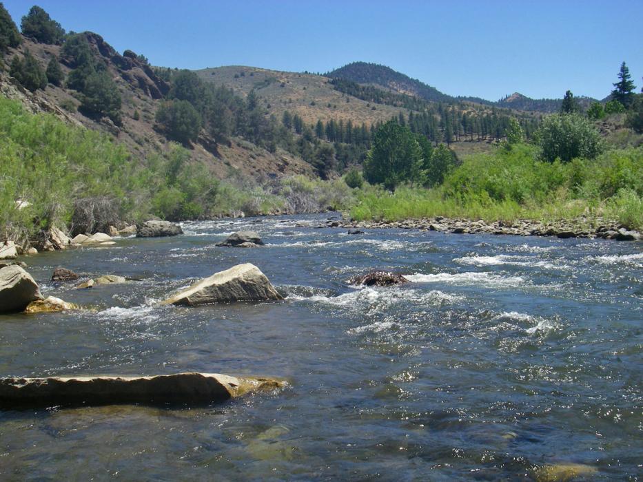 East Fork of the Carson River. Photo by California Department of Fish and Game
