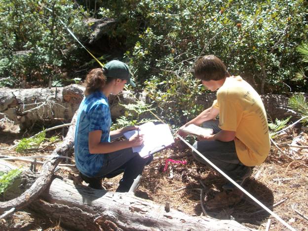 Emily Barnett and Tyler Myers gathering vegetation data for their research project.