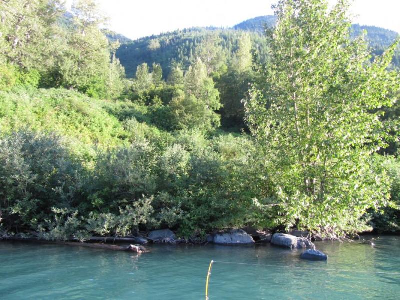 A view of the end of Don Quilici’s fishing pole as he slowly trolls close to shore at Mitchell Lake, B.C.