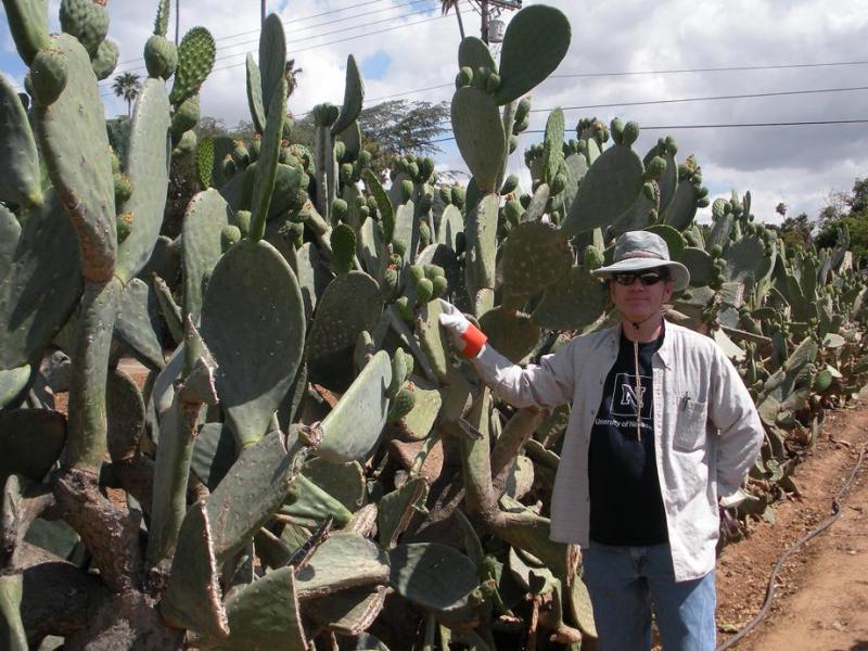 John Cushman is a professor in the College of Agriculture, Biotechnology and Natural Resources at UNR.