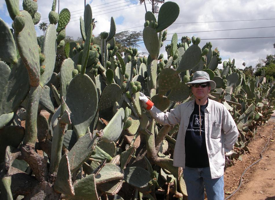 John Cushman is a professor in the College of Agriculture, Biotechnology and Natural Resources at UNR.