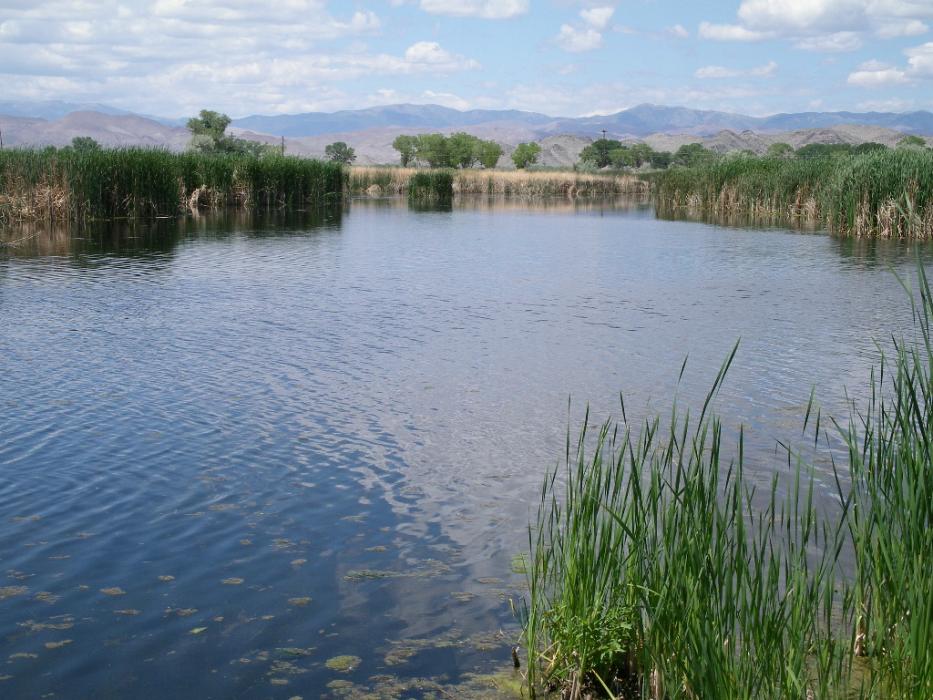 Hinkson Slough on the MVWMA. Photo by Elaine Quilici