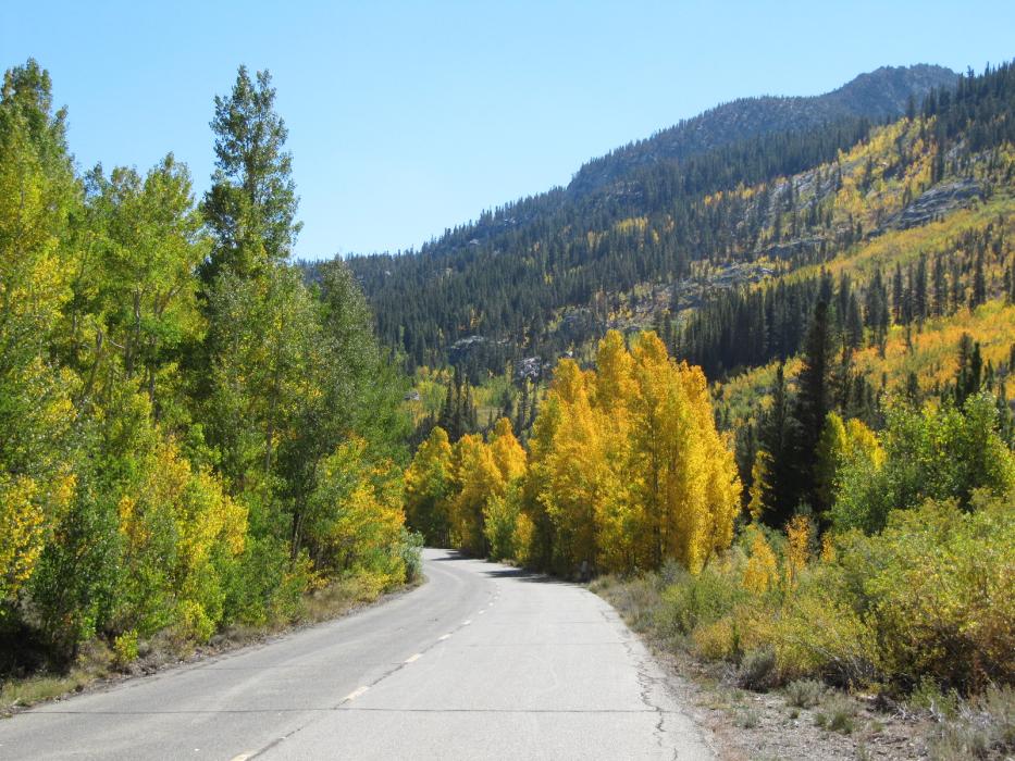 More fall colors on the way to Parchers Resort. Photo by Elaine Quilici