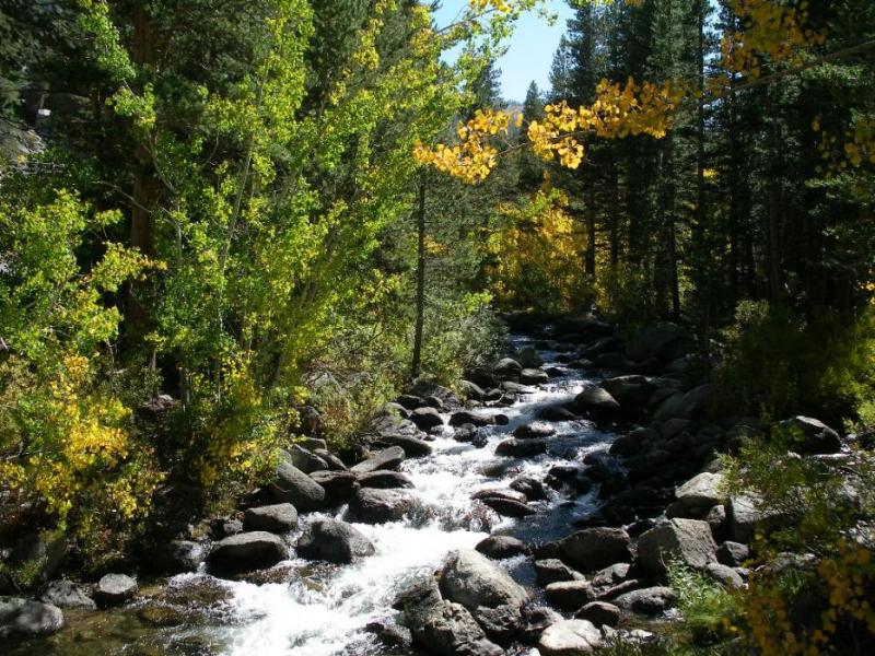 The south fork of Bishop Creek. Photo by Elaine Quilici
