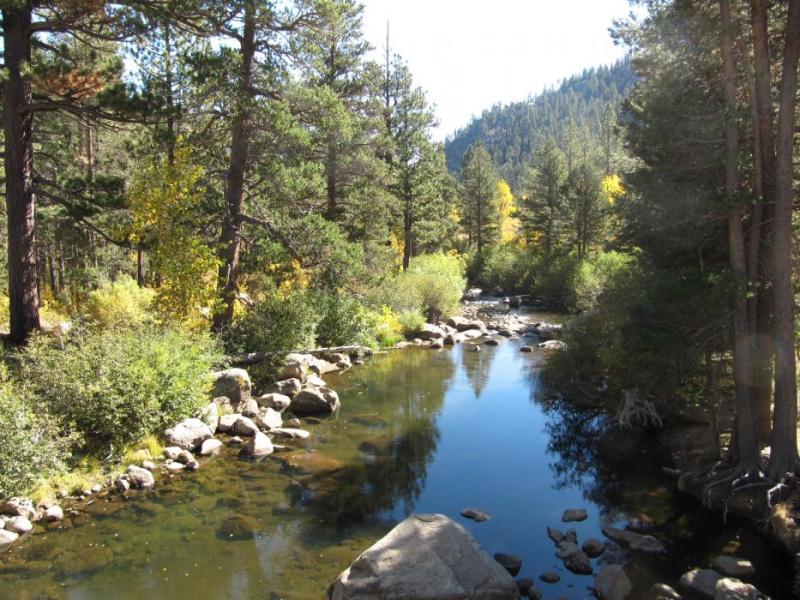 The West Carson River near Woodfords, California. Photo by Elaine Quilici